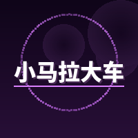 小马拉大车